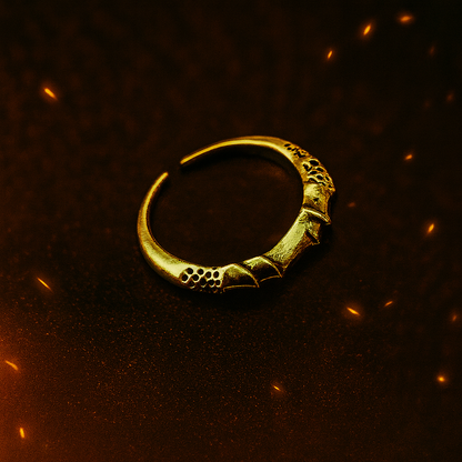 Soulsborne Rings